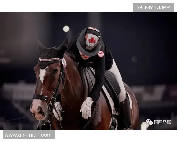 萨迪纳摩迎战罗森博格争夺欧战资格赛关键胜利之战